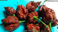Skunk Chocolate - Pepper Seeds - White Hot Peppers